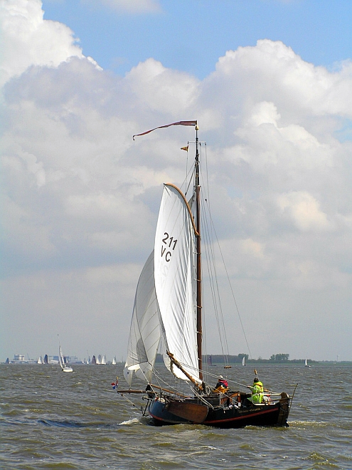 Lemsteraak_Ahoy2008 (33).jpg